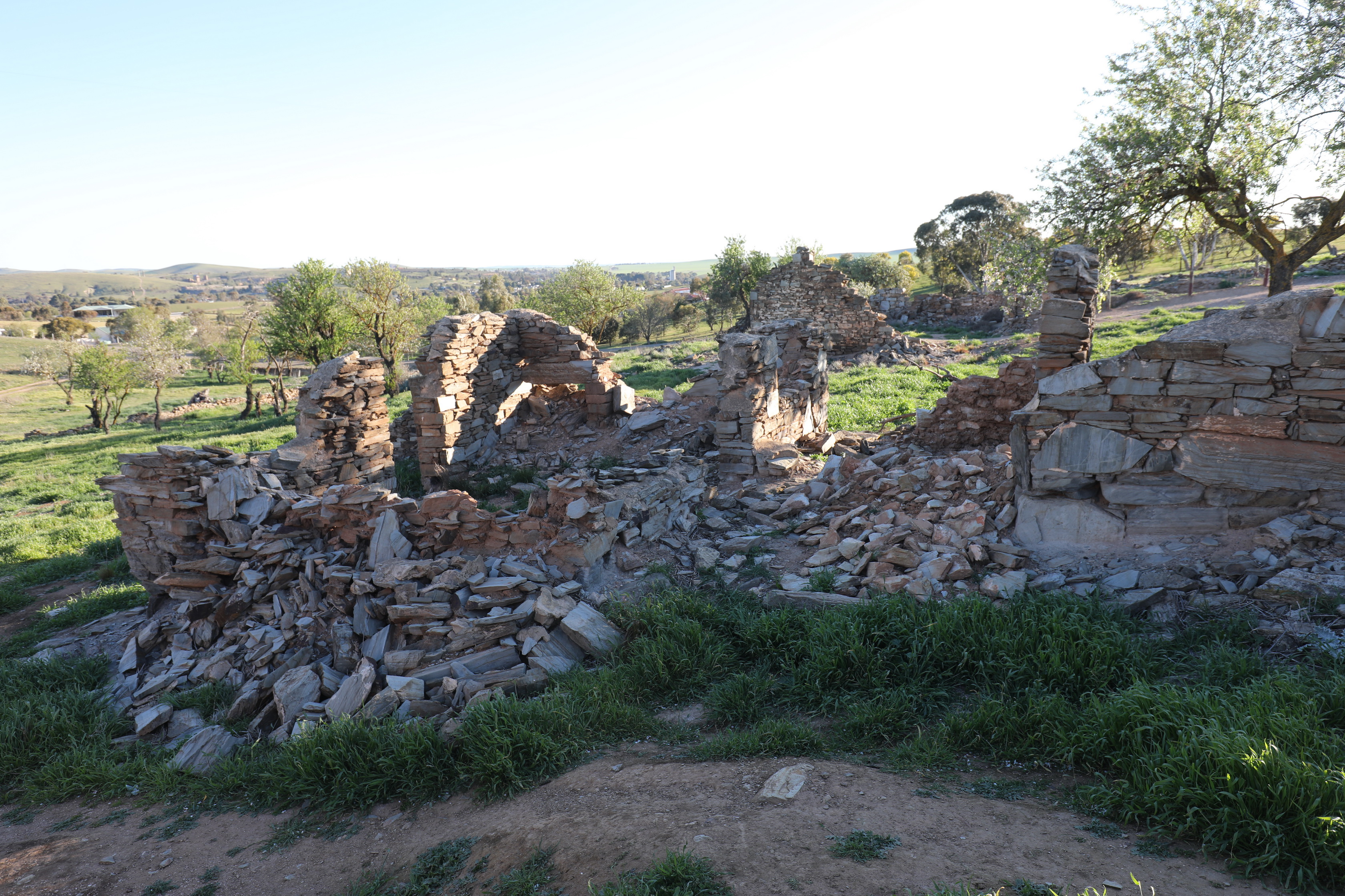 2019 08 30 16 39 02 Canon EOS 5D Mark IV 0020